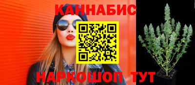PSILOCYBIN Гусев