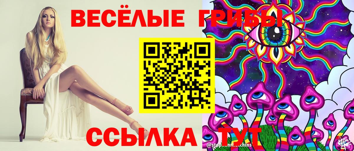 Псилоцибиновые грибы Psilocybe Кондопога
