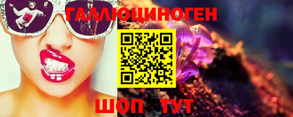 Кондопога  Псилоцибиновые грибы прущие грибы  Вход с VPN 